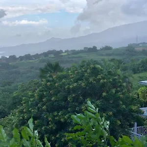 Mango Le Carbet